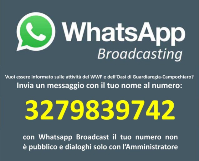 Info WhatsApp WWF Molise-Oasi WWF